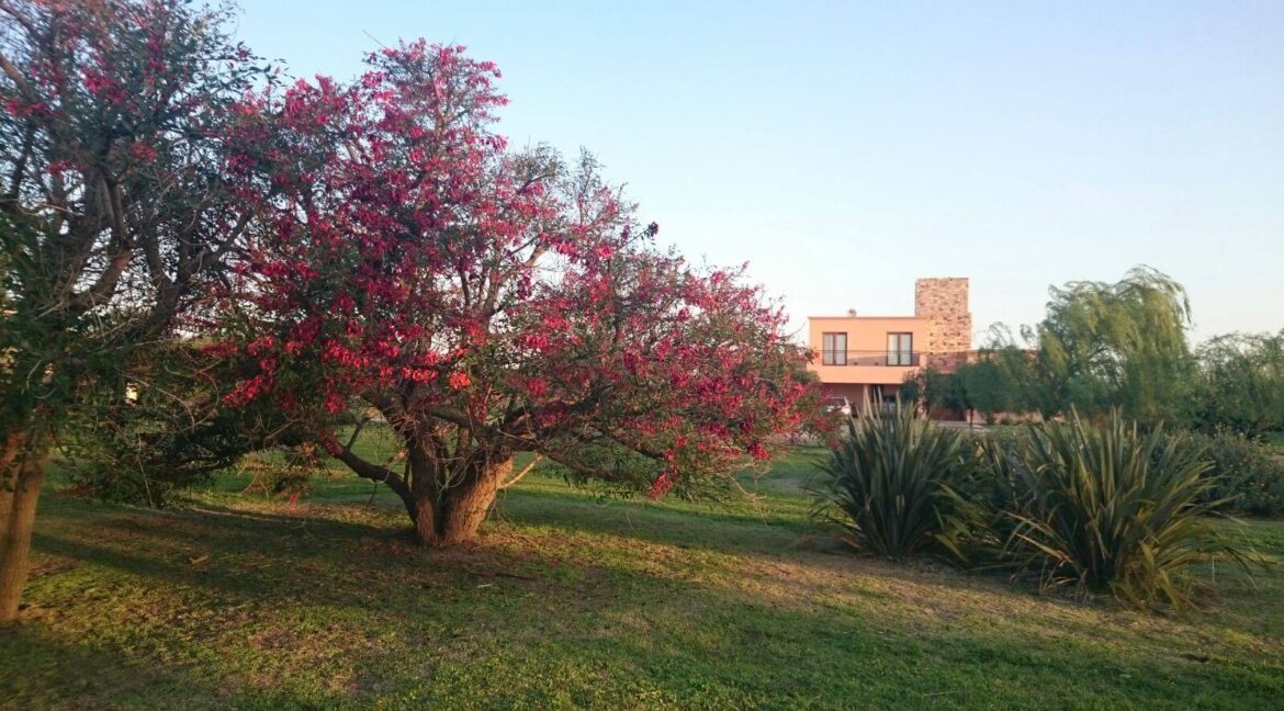 12191170_960414057354616_1686603931311280499_o