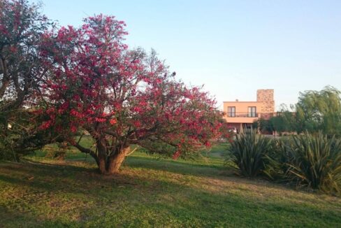 12191170_960414057354616_1686603931311280499_o