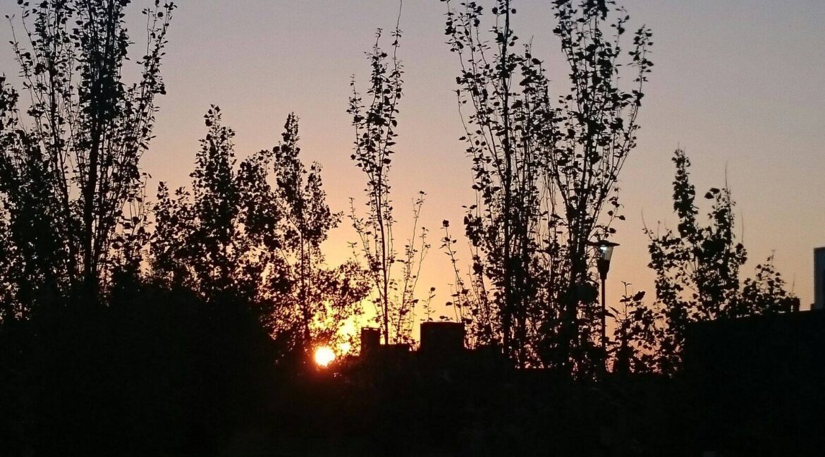 12238071_960414790687876_4066819413497984353_o