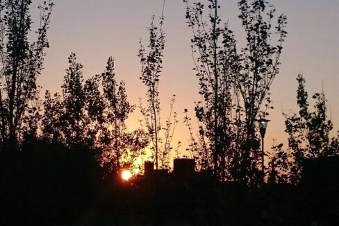 12238071_960414790687876_4066819413497984353_o