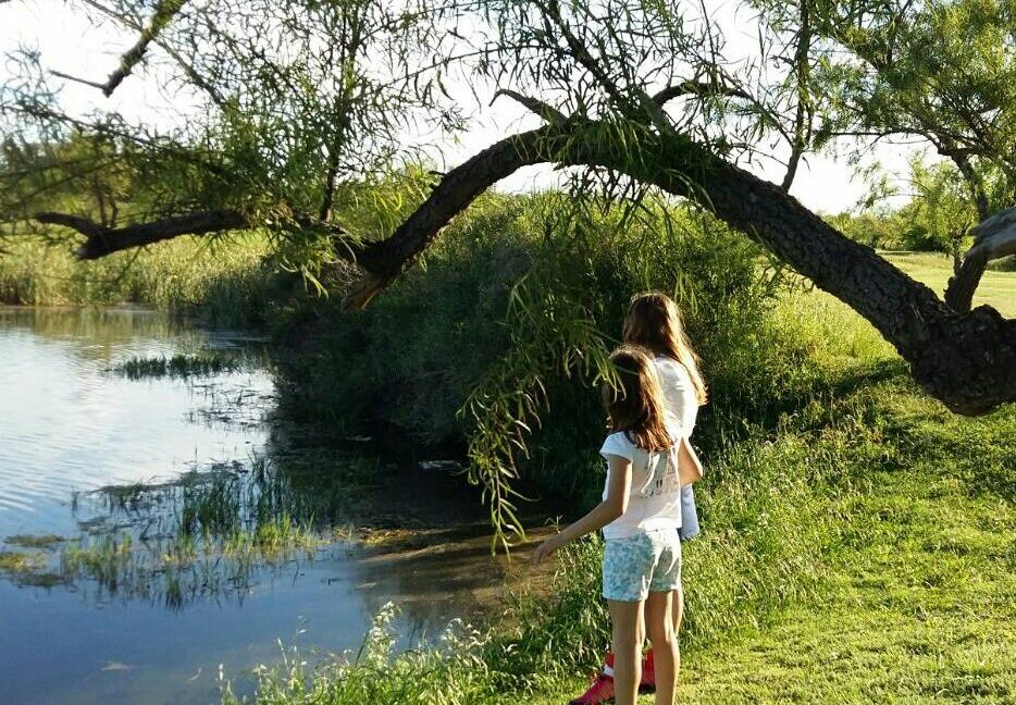 12240080_960413957354626_3418669813536943327_n