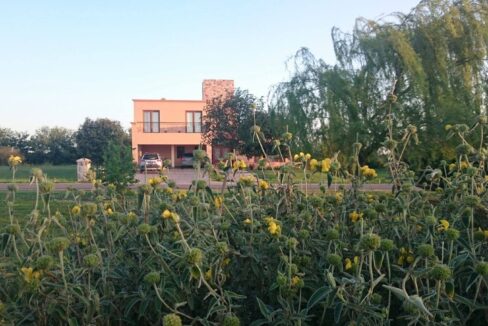 12247994_960414004021288_5216113777415657975_o