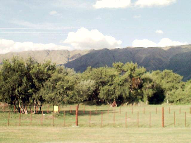 Campo Lafinur